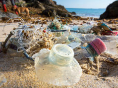 These tiny microbes are munching away at plastic waste in the ocean